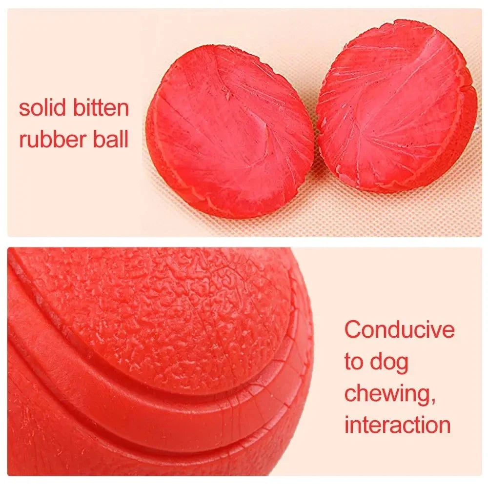 Solid Rubber Dog Ball - Durable Bouncy Chew Toy for Dogs (S-XL Sizes)