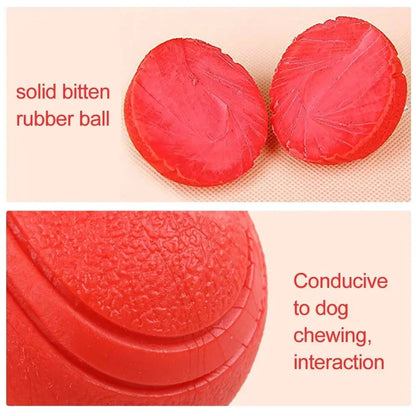 Solid Rubber Dog Ball - Durable Bouncy Chew Toy for Dogs (S-XL Sizes)