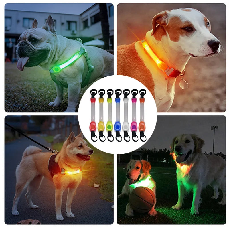 LED Safety Collar Light for Dogs - Waterproof Glowing Pet Visibility Band